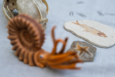 Festival podjetništva za mlade _ 2025 (11)